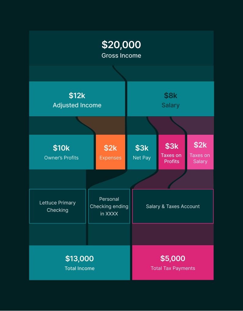 Sankey diagram splitting $20,000 of gross income into adjusted income and salary, then into owner's profits, expenses, net pay and taxes, landing in checking and tax accounts